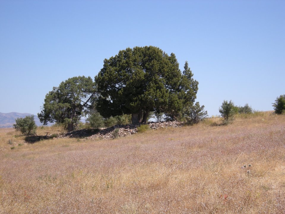 Divriği İncirlipınar Köyü Resimleri 13