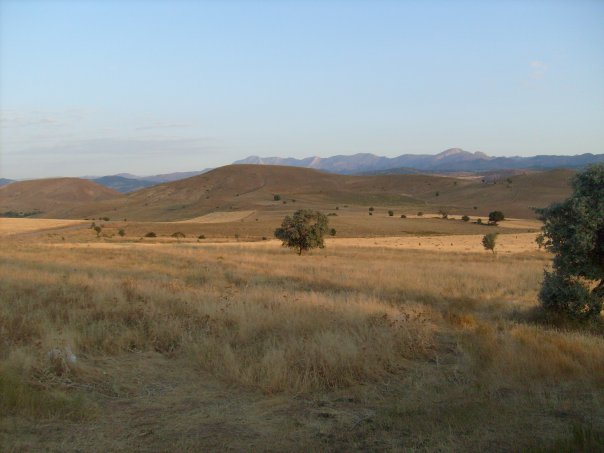 Divriği İncirlipınar Köyü Resimleri 6