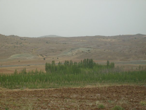 Divriği İncirlipınar Köyü Resimleri 9