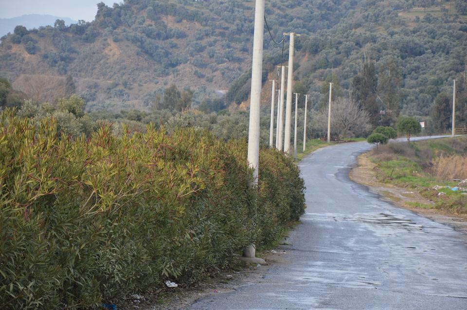 Germencik Dağkaraağaç Köyü Resimleri 2