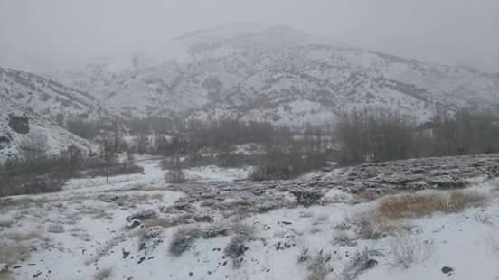 Divriği Kaledibi Köyü Resimleri 2