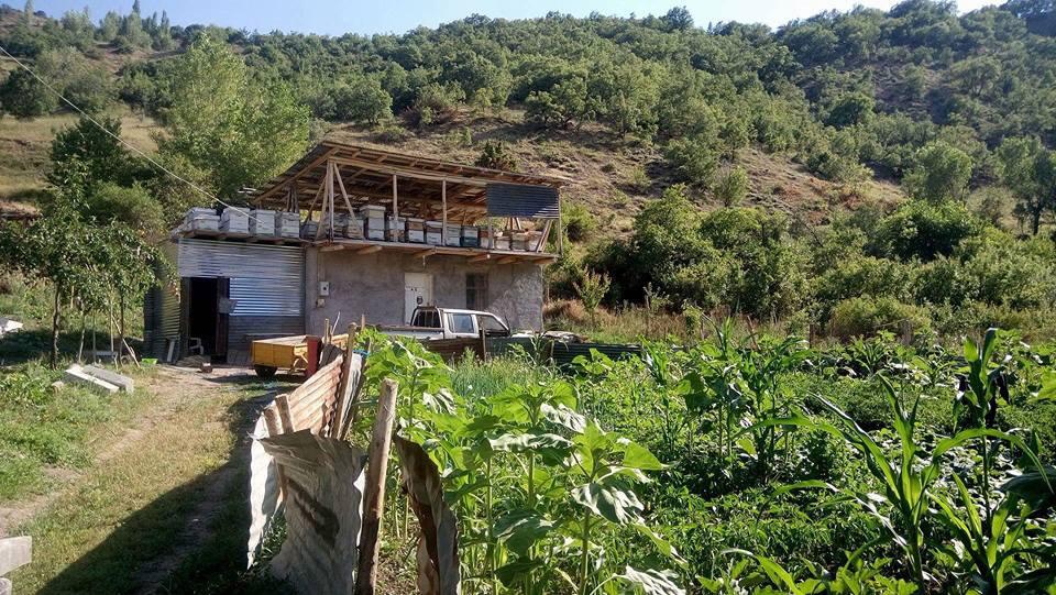 Divriği Kaledibi Köyü Resimleri 30