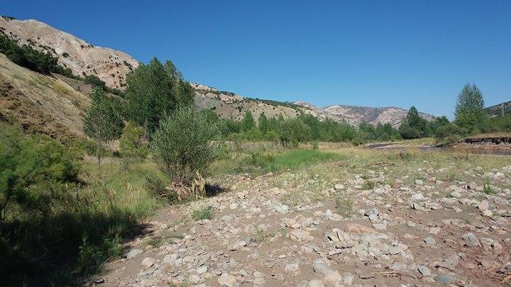 Divriği Kaledibi Köyü Resimleri 6