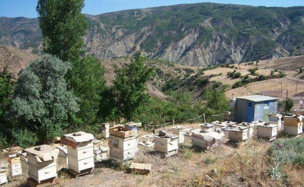 Divriği Kaledibi Köyü Resimleri 7