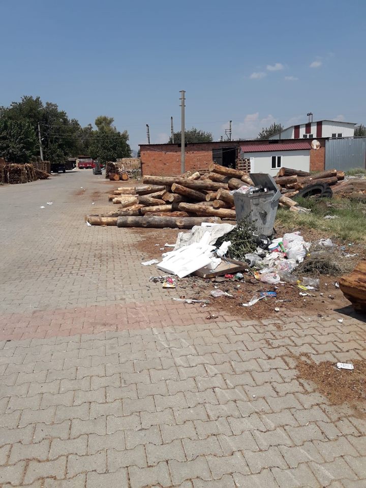 Germencik Mesudiye Köyü Resimleri 1