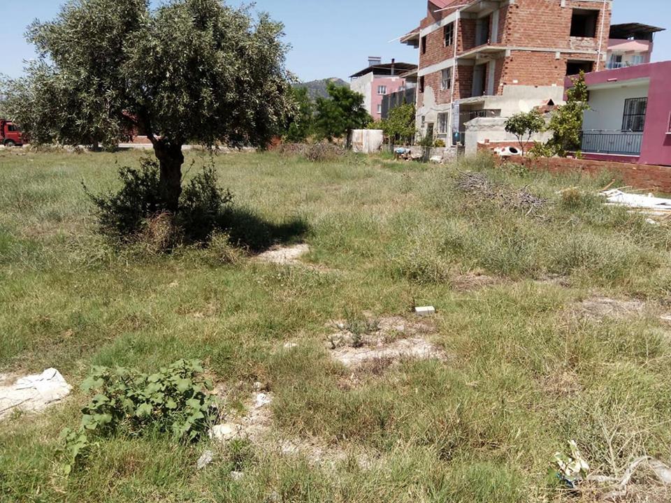 Germencik Mesudiye Köyü Resimleri 2