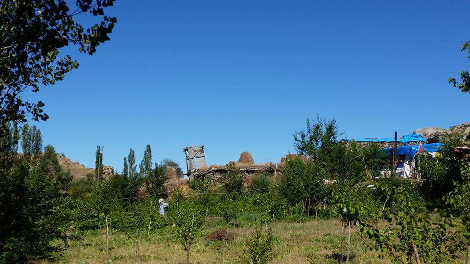 Divriği Karaağaçlı Köyü Resimleri 12