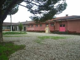 Germencik Neşetiye Köyü Resimleri 4