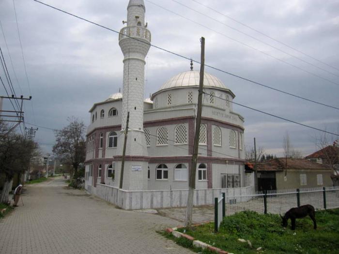 Germencik Neşetiye Köyü Resimleri 7