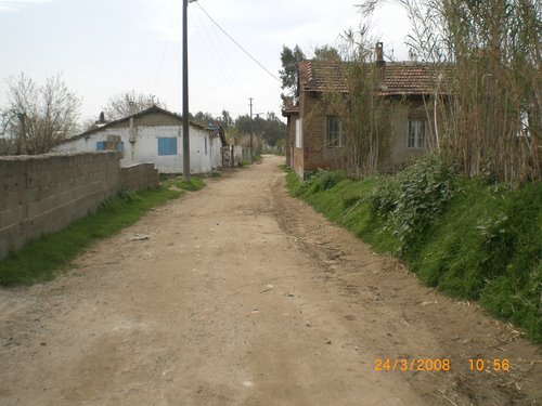 Germencik Üzümlü Köyü Resimleri 3