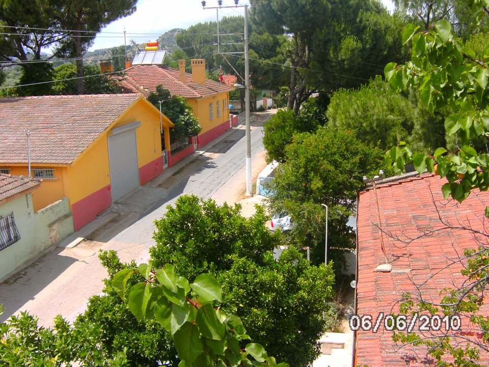 Germencik Üzümlü Köyü Resimleri 5