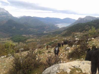 Adana Kozan Düzağaç Köyü Resimleri 2