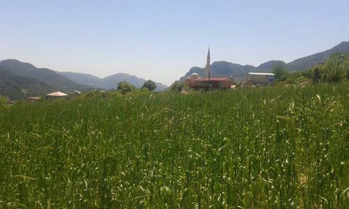 Adana Kozan Düzağaç Köyü Resimleri 24