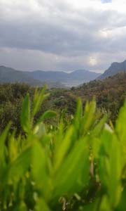 Adana Kozan Düzağaç Köyü Resimleri 29