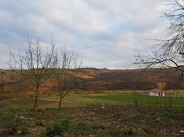 Kandıra Çakırcaali Köyü Resimleri 7