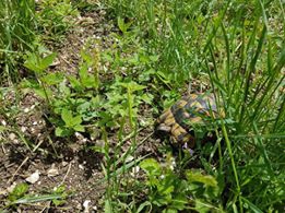 Kandıra Çakmaklar Köyü Resimleri 1