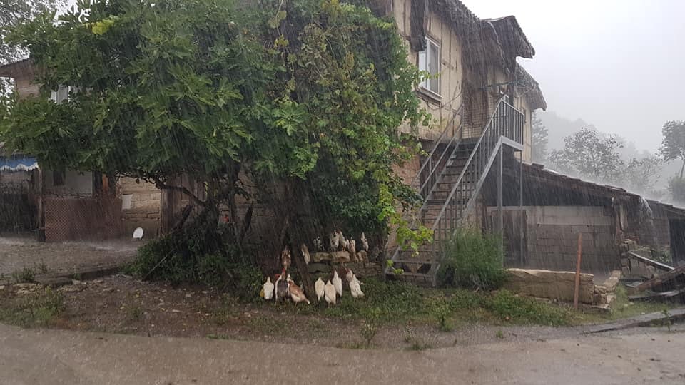 Kandıra Çakmaklar Köyü Resimleri 8