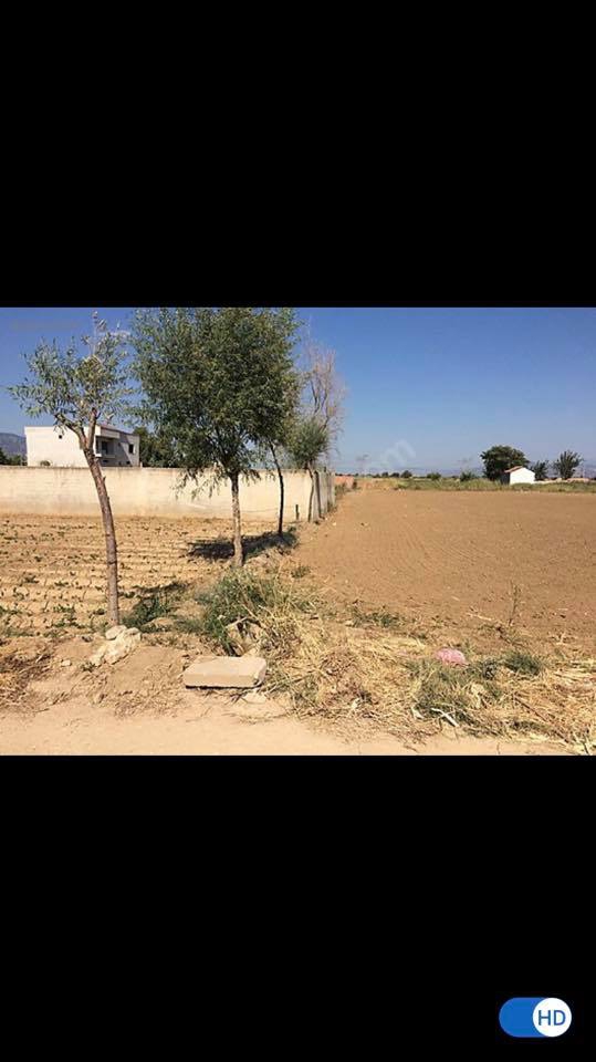 İncirliova Acarlar Köyü Resimleri 2