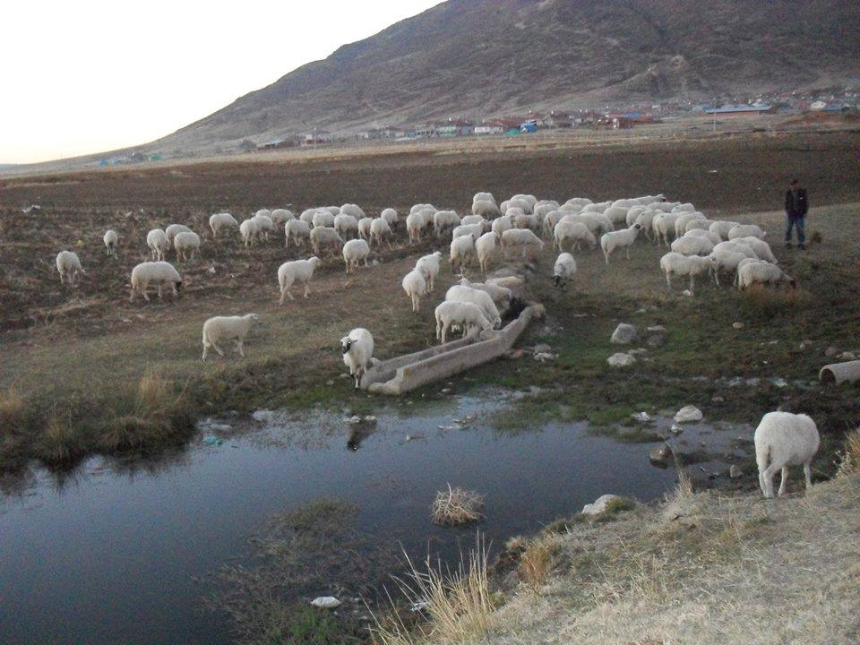 Divriği Karakuzulu Köyü Resimleri 21