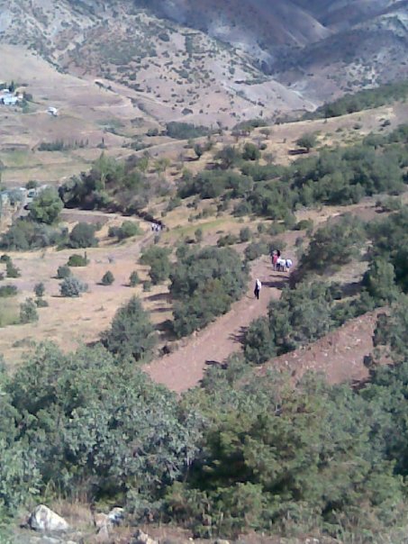 Divriği Karakuzulu Köyü Resimleri 23