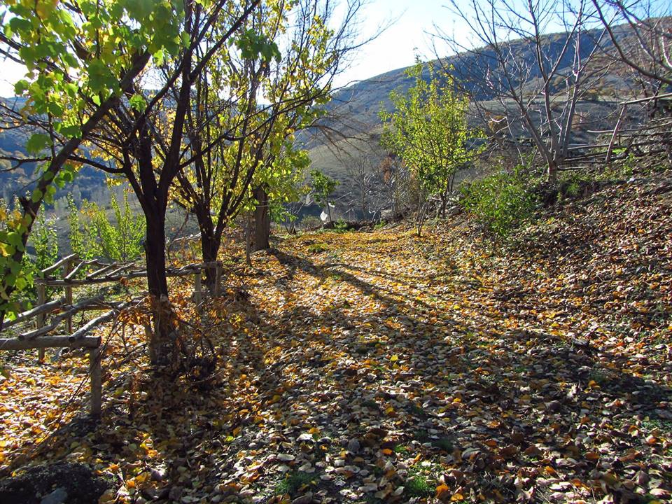Divriği Karakuzulu Köyü Resimleri 34