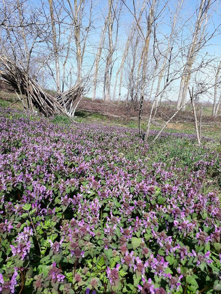 Kandıra Çerçili Köyü Resimleri 5