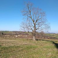 Kandıra Dalca Köyü Resimleri 12