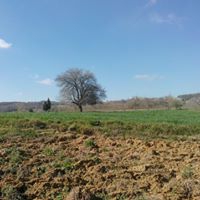 Kandıra Dalca Köyü Resimleri 2