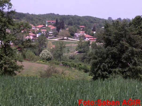 Kandıra Dalca Köyü Resimleri 6