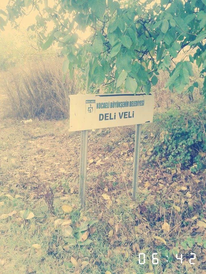 Kandıra Deliveli Köyü Resimleri 4