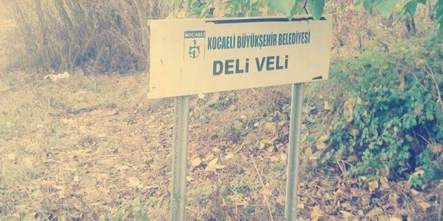 Kandıra Deliveli Köyü Resimleri