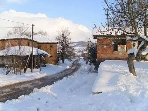 Kandıra Döngelli Köyü Resimleri 2