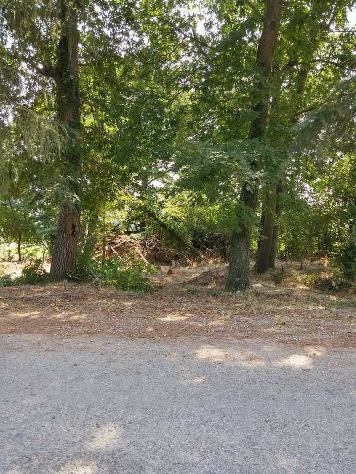 Kandıra Döngelli Köyü Resimleri 4