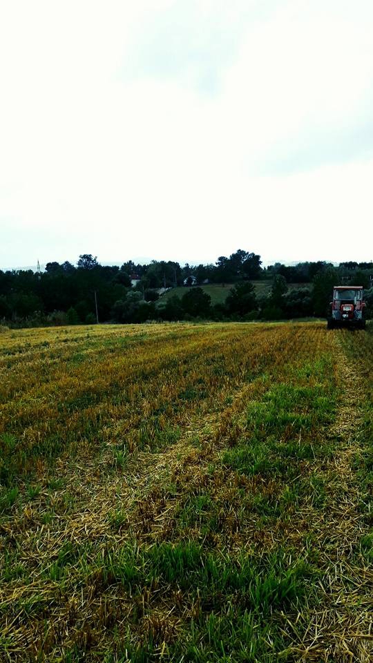 Kandıra Döngelli Köyü Resimleri 5