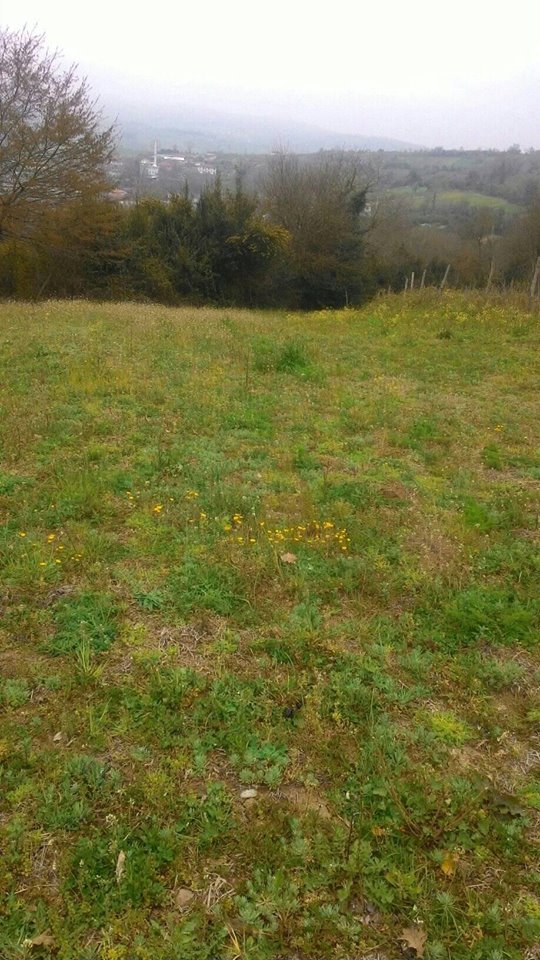 Kandıra Döngelli Köyü Resimleri 8