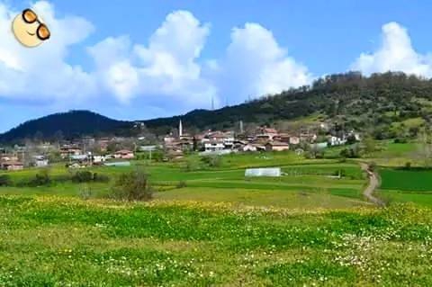 Kandıra Duraçalı Köyü Resimleri 6