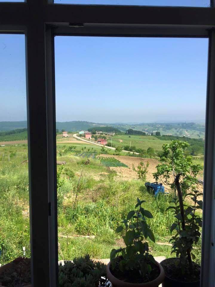 Kandıra Eğercili Köyü Resimleri 1