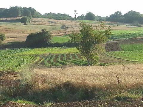 Kandıra Ferizli Köyü Resimleri 1