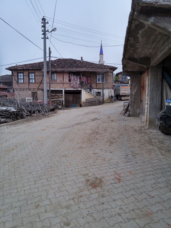 Kandıra Ferizli Köyü Resimleri 3