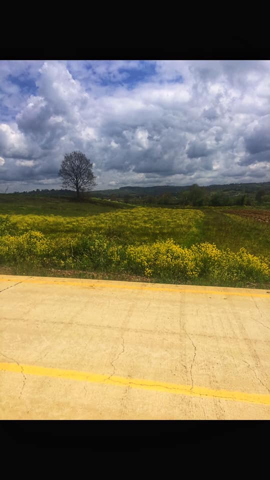 Kandıra Ferizli Köyü Resimleri 6