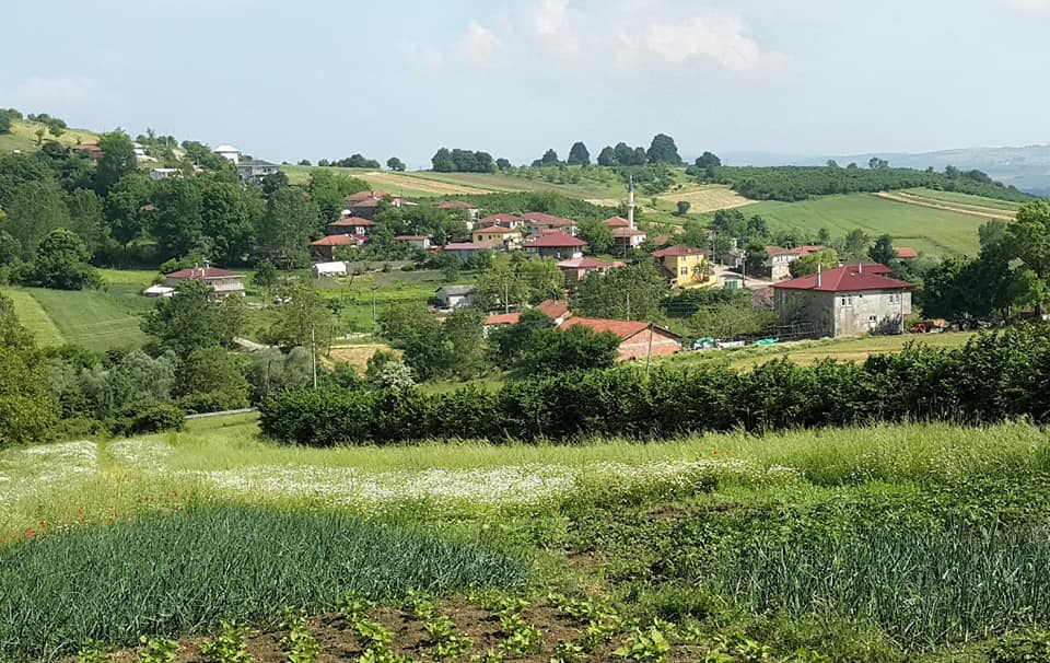 Kandıra Gebeşler Köyü Resimleri 5