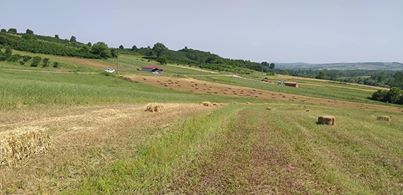 Kandıra Gebeşler Köyü Resimleri 6