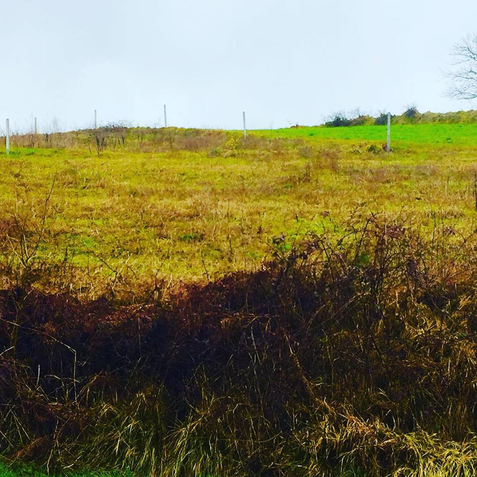 Kandıra Goncaaydın Köyü Resimleri 3