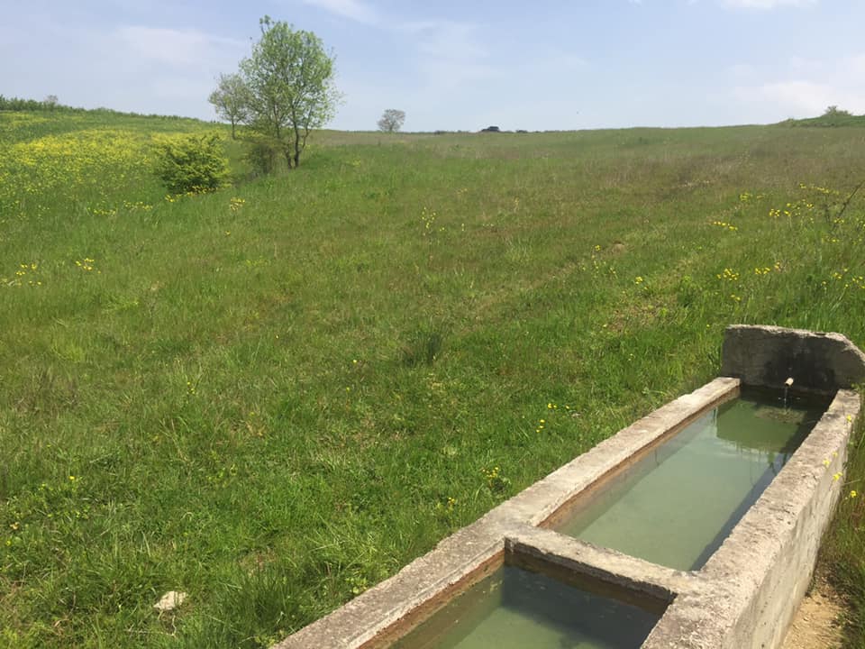 Kandıra Goncaaydın Köyü Resimleri 4