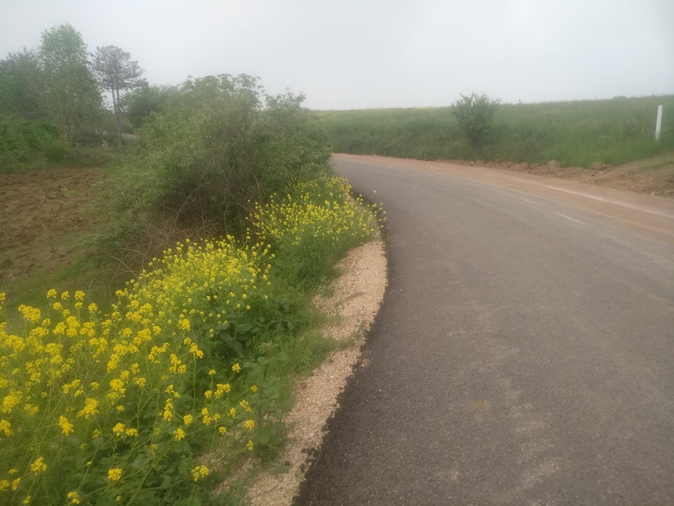 Kandıra Goncaaydın Köyü Resimleri 5