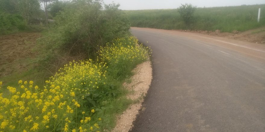 Kandıra Goncaaydın Köyü Resimleri