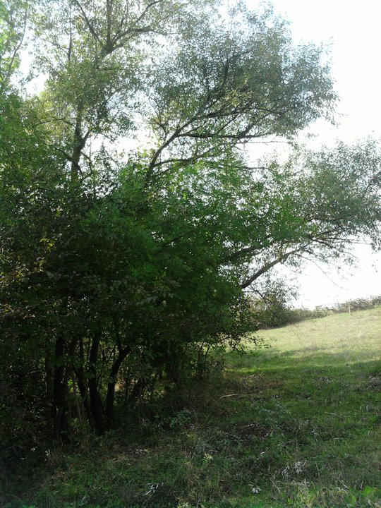 Kandıra Hacılar Köyü Resimleri 11