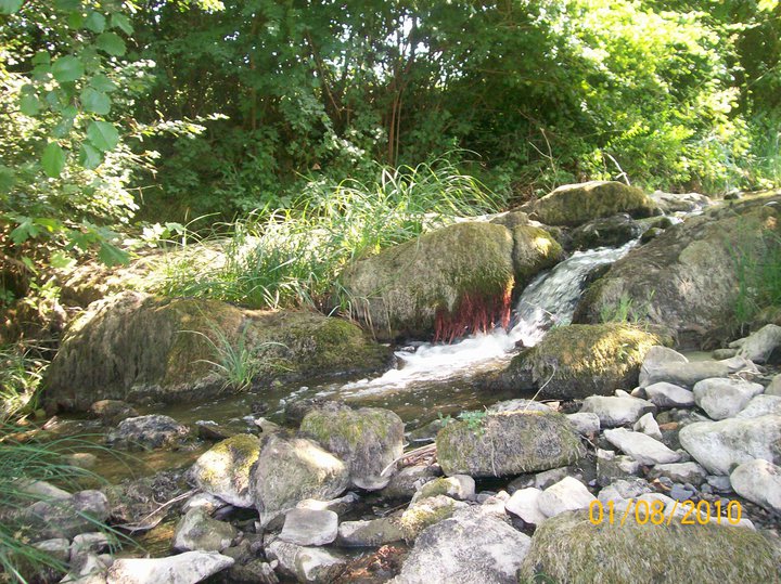 Kandıra Hacılar Köyü Resimleri 7