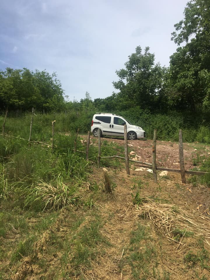 Kandıra Hacımazlı Köyü Resimleri 10