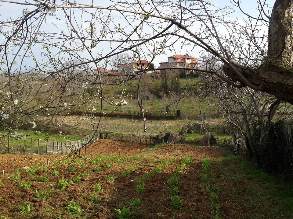 Kandıra Hacımazlı Köyü Resimleri 7